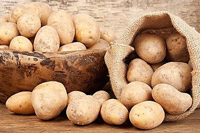 小岛：我的全新作只有微软能理解